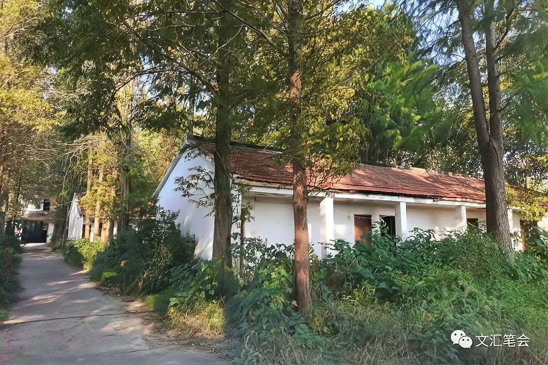 the north side of the campus is full of acacia.| Fang Yuan - Isportmall
