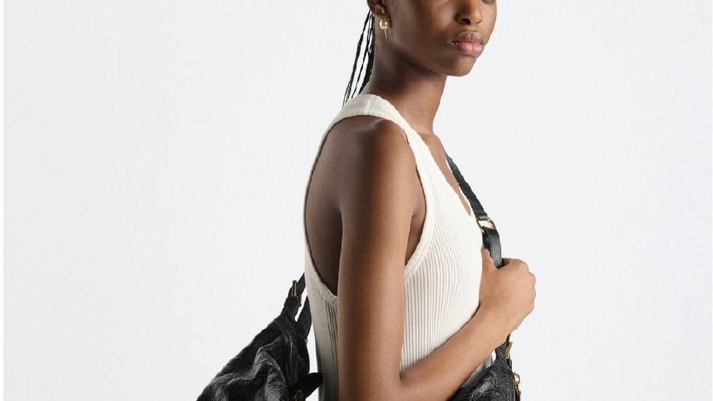 ディオールのハンドバッグがスタイルを見せる - 加奈ショップ